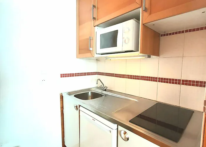 Apartment Cosy Avec Balcon Proche Pistes, - Fr-1-351-17